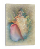Aquatica Iv - Steve Hunziker | Cuadro decorativo de Canvas Lab