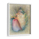 Aquatica Iv - Steve Hunziker | Cuadro decorativo de Canvas Lab