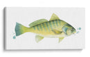 Captura Cromática I - Grace Popp | Cuadro decorativo de Canvas Lab