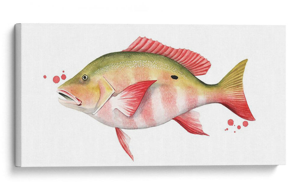 Catch Chromatic Ii - Grace Popp | Cuadro decorativo de Canvas Lab