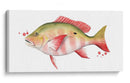 Catch Chromatic Ii - Grace Popp | Cuadro decorativo de Canvas Lab
