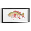 Catch Chromatic Ii - Grace Popp | Cuadro decorativo de Canvas Lab