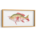 Catch Chromatic Ii - Grace Popp | Cuadro decorativo de Canvas Lab