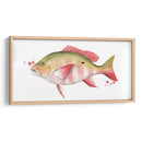 Catch Chromatic Ii - Grace Popp | Cuadro decorativo de Canvas Lab