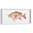 Catch Chromatic Ii - Grace Popp | Cuadro decorativo de Canvas Lab