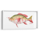 Catch Chromatic Ii - Grace Popp | Cuadro decorativo de Canvas Lab