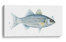 Catch Chromatic Iii - Grace Popp | Cuadro decorativo de Canvas Lab