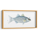 Catch Chromatic Iii - Grace Popp | Cuadro decorativo de Canvas Lab