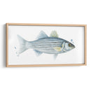 Catch Chromatic Iii - Grace Popp | Cuadro decorativo de Canvas Lab