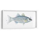 Catch Chromatic Iii - Grace Popp | Cuadro decorativo de Canvas Lab