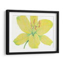 Cidron Tiger Lily I - Tim OToole | Cuadro decorativo de Canvas Lab