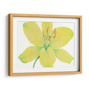 Cidron Tiger Lily I - Tim OToole | Cuadro decorativo de Canvas Lab