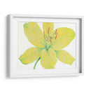 Cidron Tiger Lily I - Tim OToole | Cuadro decorativo de Canvas Lab