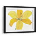 Cidron Tiger Lily Ii - Tim OToole | Cuadro decorativo de Canvas Lab