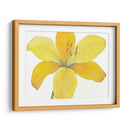 Cidron Tiger Lily Ii - Tim OToole | Cuadro decorativo de Canvas Lab