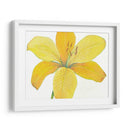 Cidron Tiger Lily Ii - Tim OToole | Cuadro decorativo de Canvas Lab