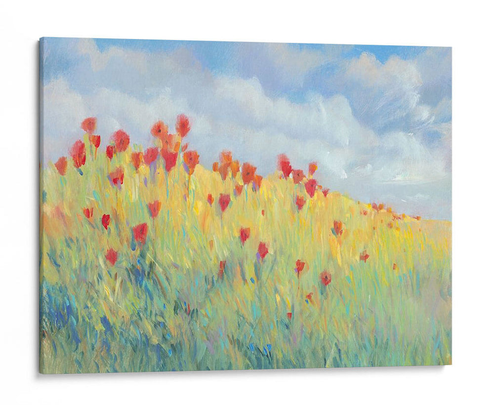 Prado De La Brisa De Verano I - Tim OToole | Cuadro decorativo de Canvas Lab