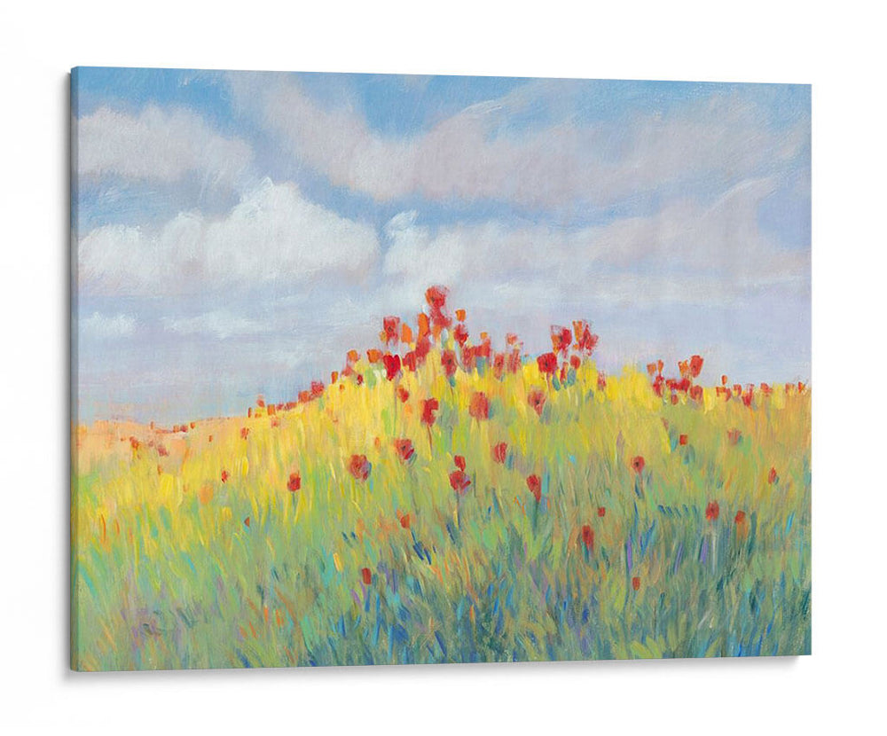 Brisa De Verano Prado Ii - Tim OToole | Cuadro decorativo de Canvas Lab
