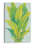 Chartreuse Follaje Tropical I - Tim OToole | Cuadro decorativo de Canvas Lab