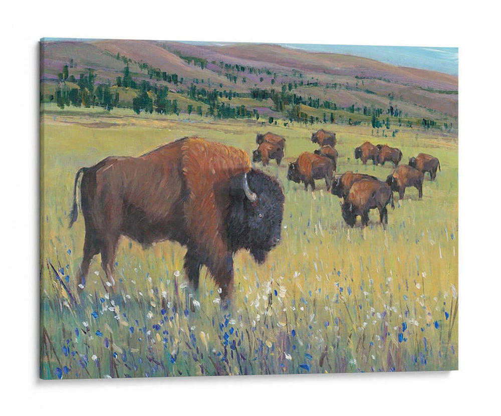 Animales Del Oeste I - Tim OToole | Cuadro decorativo de Canvas Lab