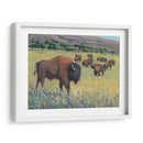 Animales Del Oeste I - Tim OToole | Cuadro decorativo de Canvas Lab