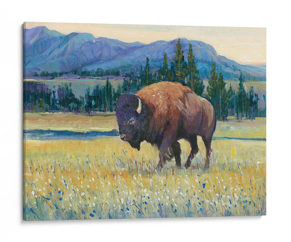 Animales Del Oeste Ii - Tim OToole | Cuadro decorativo de Canvas Lab