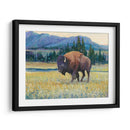 Animales Del Oeste Ii - Tim OToole | Cuadro decorativo de Canvas Lab