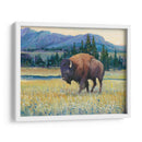 Animales Del Oeste Ii - Tim OToole | Cuadro decorativo de Canvas Lab