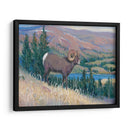 Animales Del Oeste Iii - Tim OToole | Cuadro decorativo de Canvas Lab