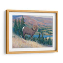 Animales Del Oeste Iii - Tim OToole | Cuadro decorativo de Canvas Lab