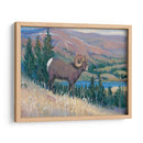 Animales Del Oeste Iii - Tim OToole | Cuadro decorativo de Canvas Lab