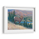 Animales Del Oeste Iii - Tim OToole | Cuadro decorativo de Canvas Lab