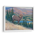 Animales Del Oeste Iii - Tim OToole | Cuadro decorativo de Canvas Lab
