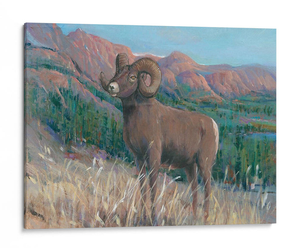 Animales Del Oeste Iv - Tim OToole | Cuadro decorativo de Canvas Lab