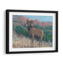 Animales Del Oeste Iv - Tim OToole | Cuadro decorativo de Canvas Lab