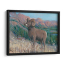 Animales Del Oeste Iv - Tim OToole | Cuadro decorativo de Canvas Lab