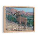 Animales Del Oeste Iv - Tim OToole | Cuadro decorativo de Canvas Lab