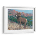 Animales Del Oeste Iv - Tim OToole | Cuadro decorativo de Canvas Lab