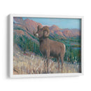 Animales Del Oeste Iv - Tim OToole | Cuadro decorativo de Canvas Lab