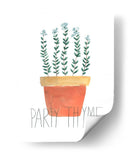 Planta Punna Iv - June Erica Vess | Cuadro decorativo de Canvas Lab