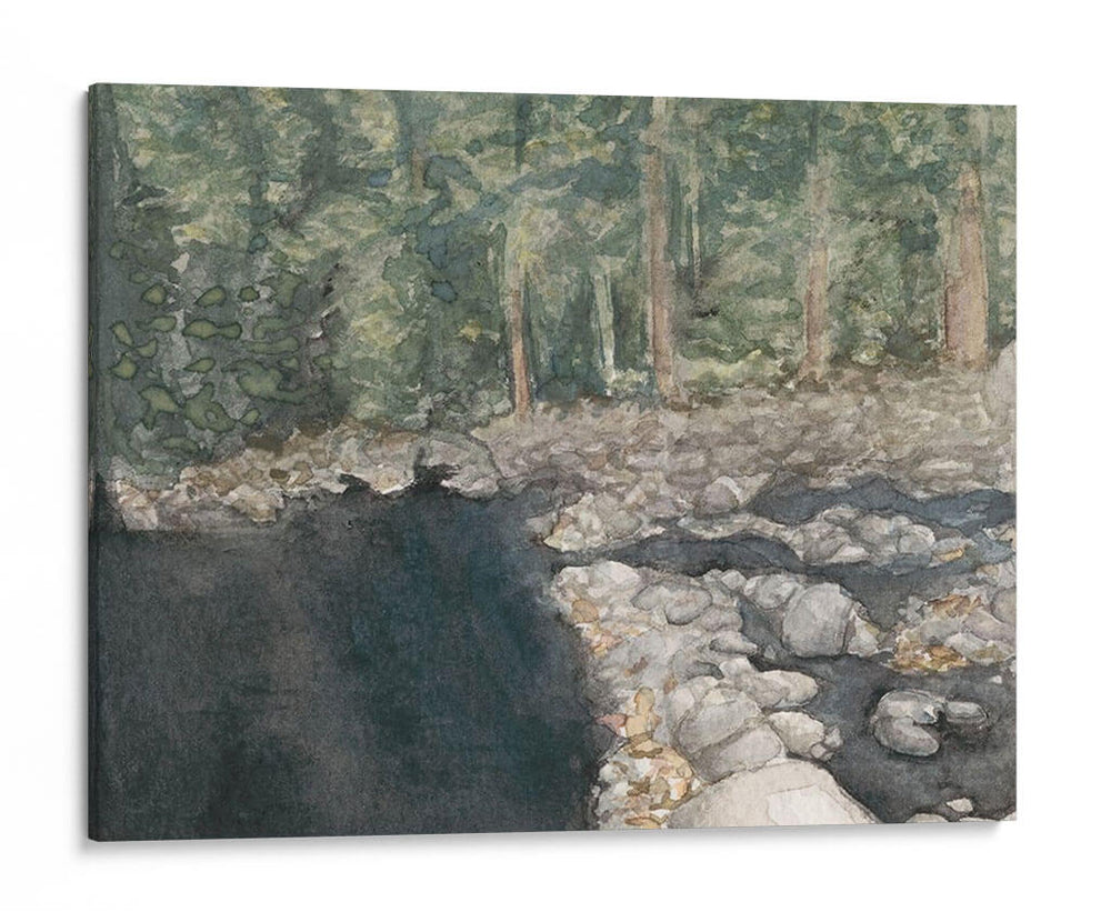 Virginia Forest Ii - Natasha Chabot | Cuadro decorativo de Canvas Lab