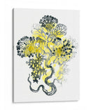 Cidron Mar Kelp I - June Erica Vess | Cuadro decorativo de Canvas Lab