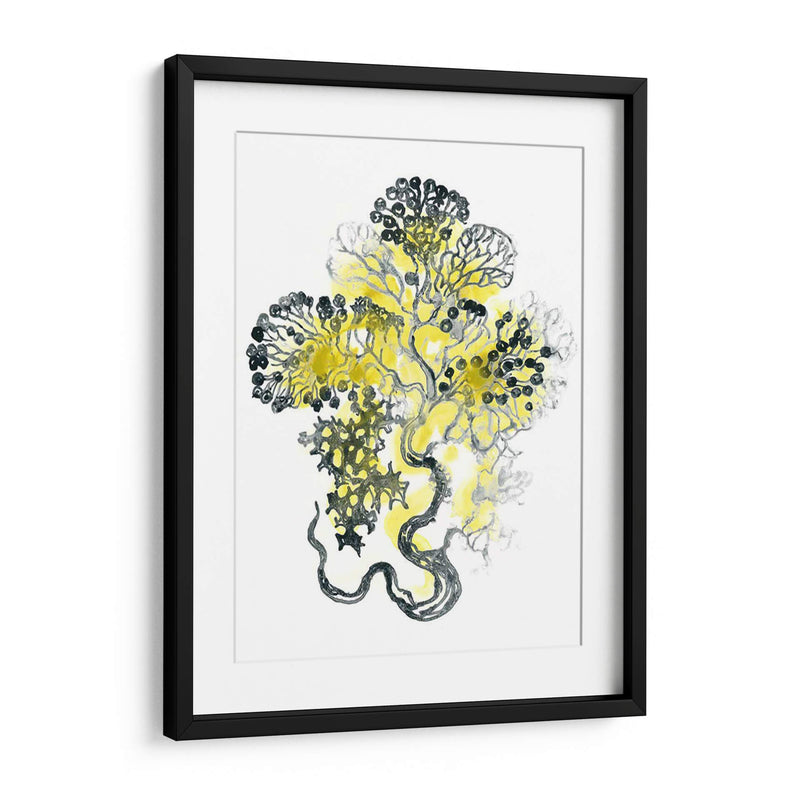 Cidron Mar Kelp I - June Erica Vess | Cuadro decorativo de Canvas Lab