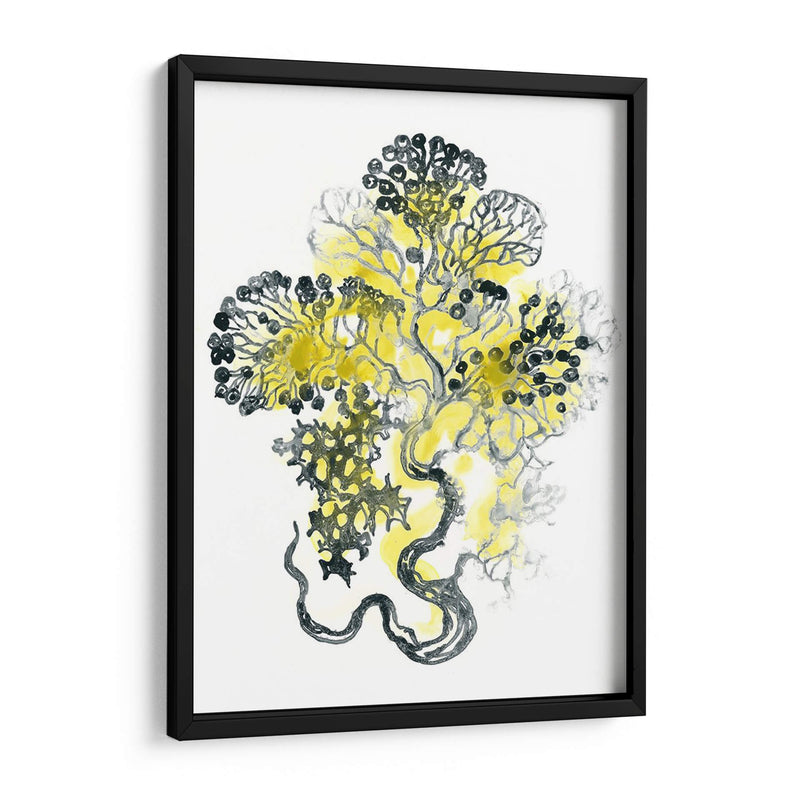 Cidron Mar Kelp I - June Erica Vess | Cuadro decorativo de Canvas Lab