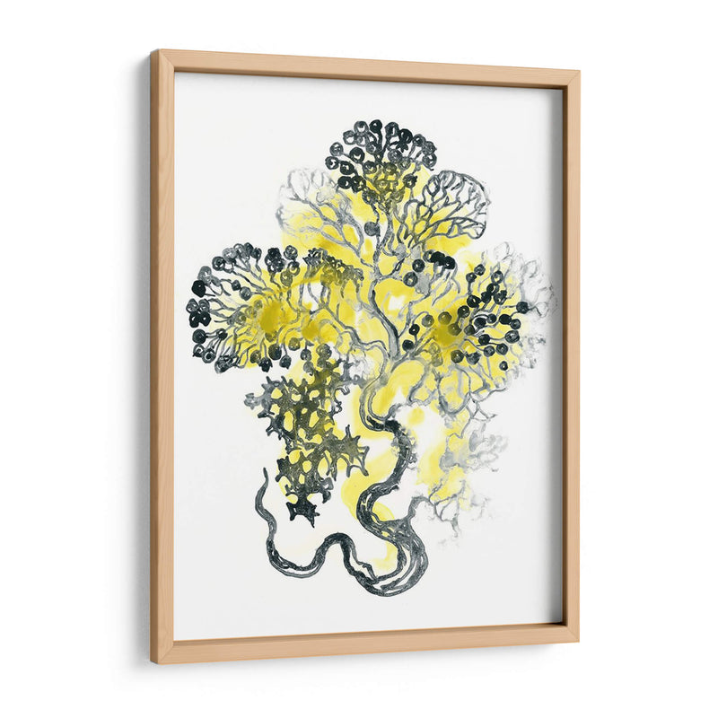 Cidron Mar Kelp I - June Erica Vess | Cuadro decorativo de Canvas Lab