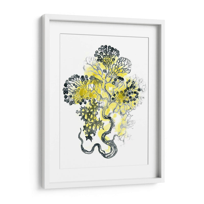 Cidron Mar Kelp I - June Erica Vess | Cuadro decorativo de Canvas Lab