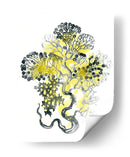 Cidron Mar Kelp I - June Erica Vess | Cuadro decorativo de Canvas Lab