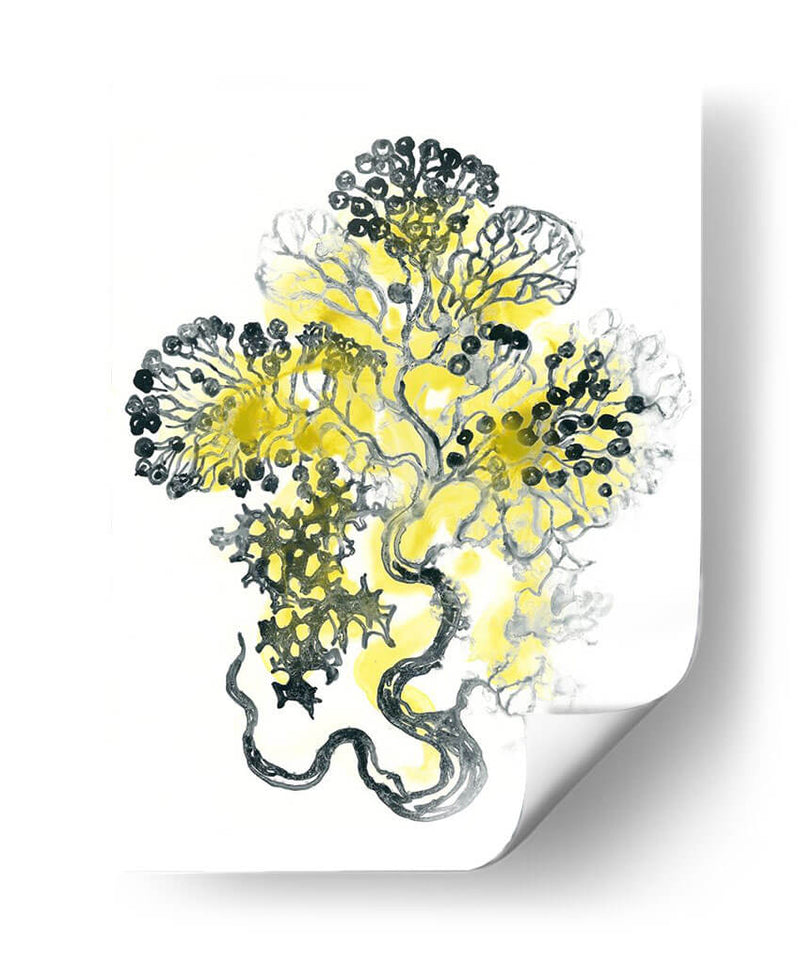 Cidron Mar Kelp I - June Erica Vess | Cuadro decorativo de Canvas Lab