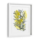 Cidron Mar Kelp Ii - June Erica Vess | Cuadro decorativo de Canvas Lab