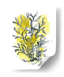 Cidron Mar Kelp Ii - June Erica Vess | Cuadro decorativo de Canvas Lab